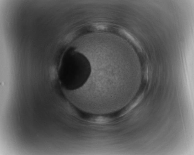 X0000099940467200805231255