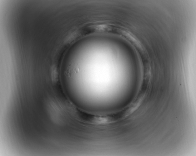 X0000099940469200805231255
