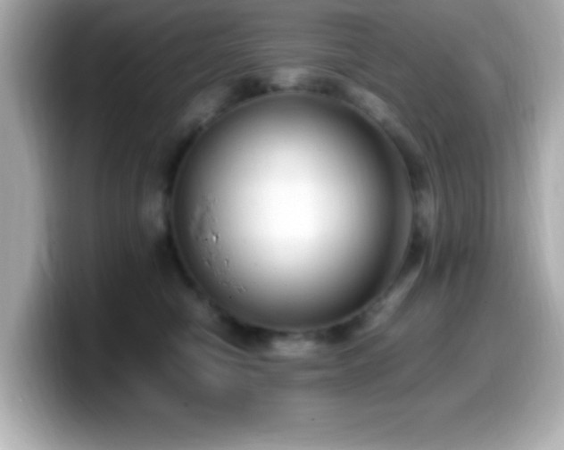 X0000099940470200805231255