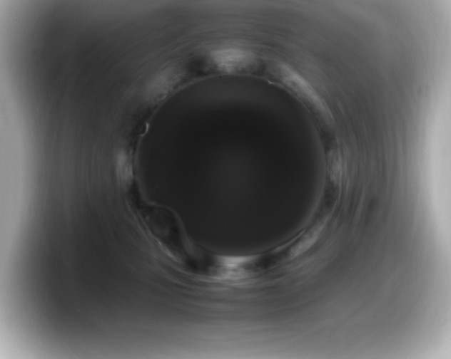 X0000099940471200805231255