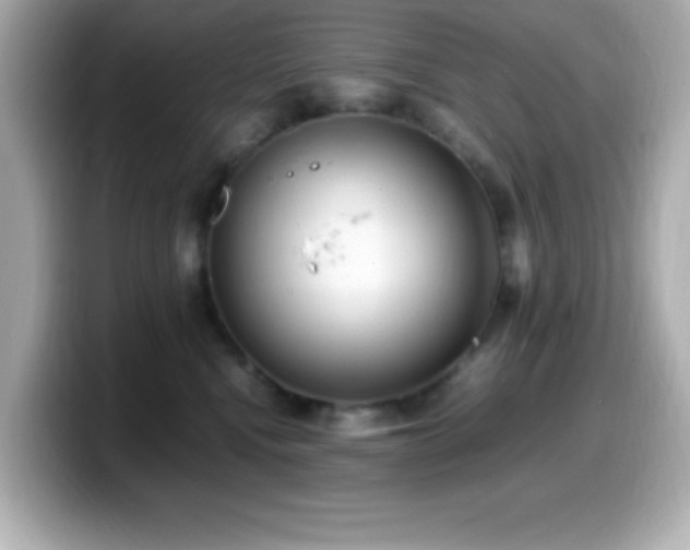X0000099940472200805231255
