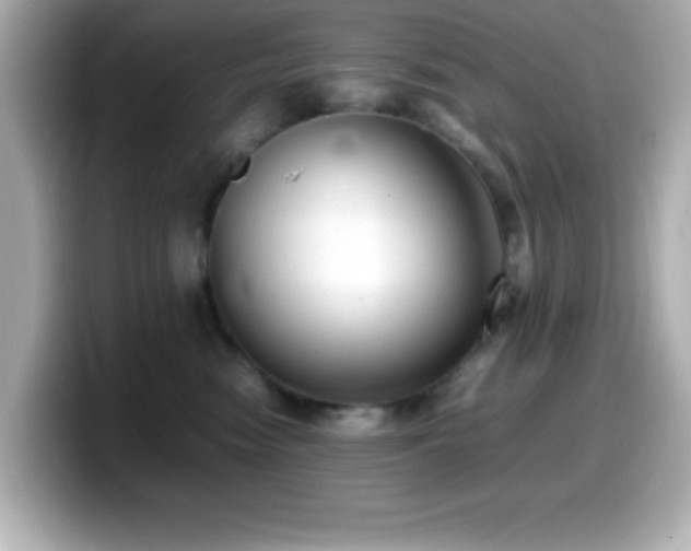 X0000099940474200805231255