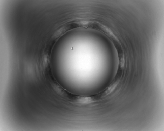 X0000099940476200805231255