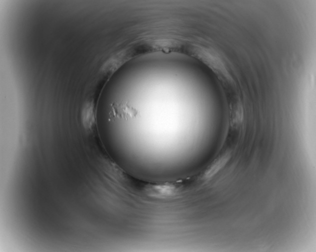 X0000099940478200805231255