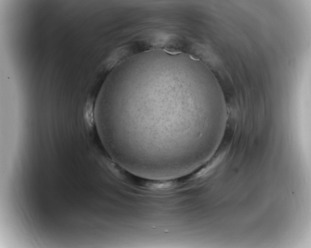 X0000099940479200805231255