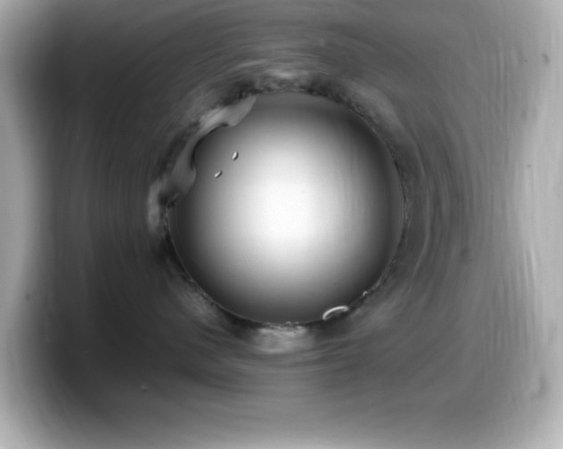 X0000099940480200805231255