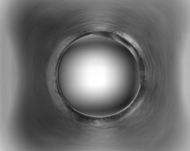 X0000099940481200805231255