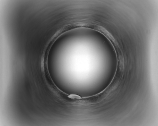 X0000099940482200805231255
