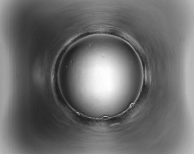X0000099940483200805231255