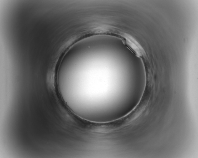 X0000099940485200805231255