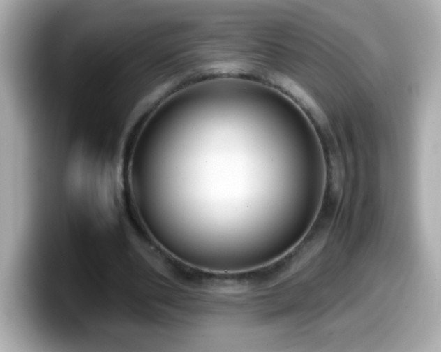 X0000099940486200805231255