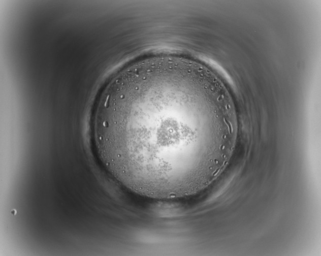 X0000099940487200805231255