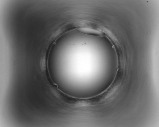 X0000099940489200805231255