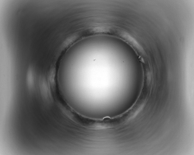 X0000099940490200805231255
