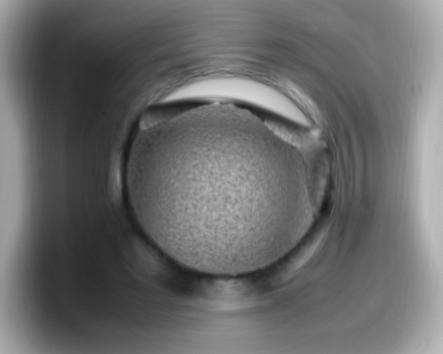 X0000099940493200805231255