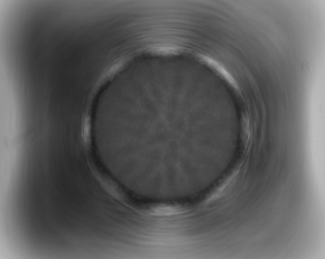 X0000099940494200805231255