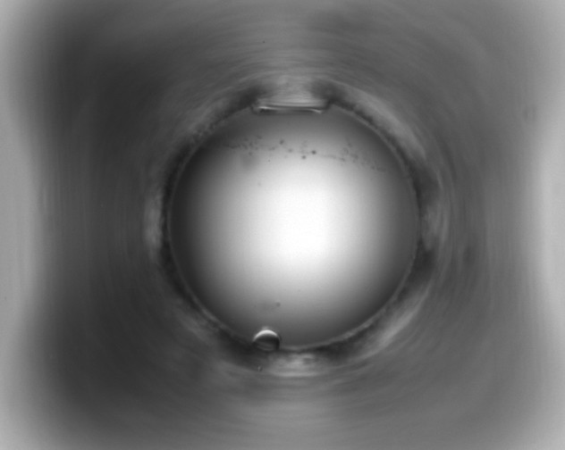 X0000099940497200805231254