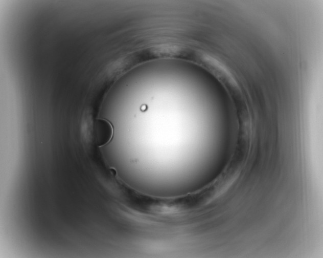 X0000099940498200805231254