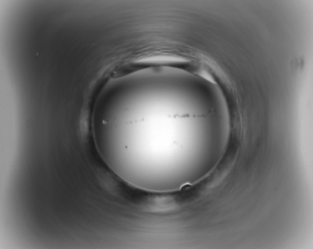 X0000099940501200805231254