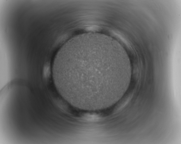 X0000099940502200805231254