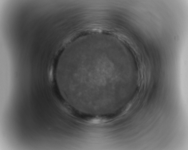 X0000099940504200805231254