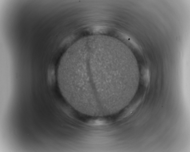 X0000099940506200805231254
