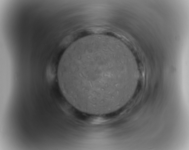 X0000099940507200805231254