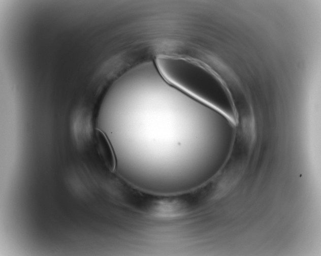 X0000099940508200805231254