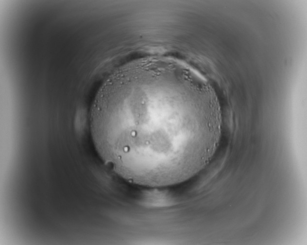 X0000099940511200805231254