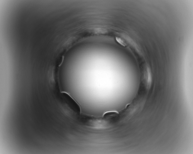 X0000099940512200805231254