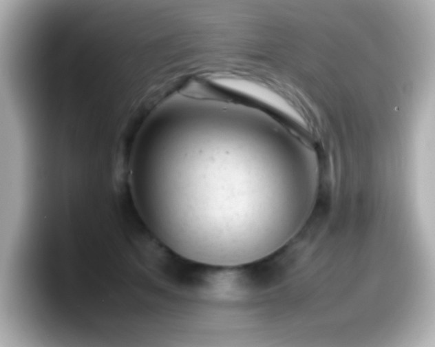 X0000099940513200805231254