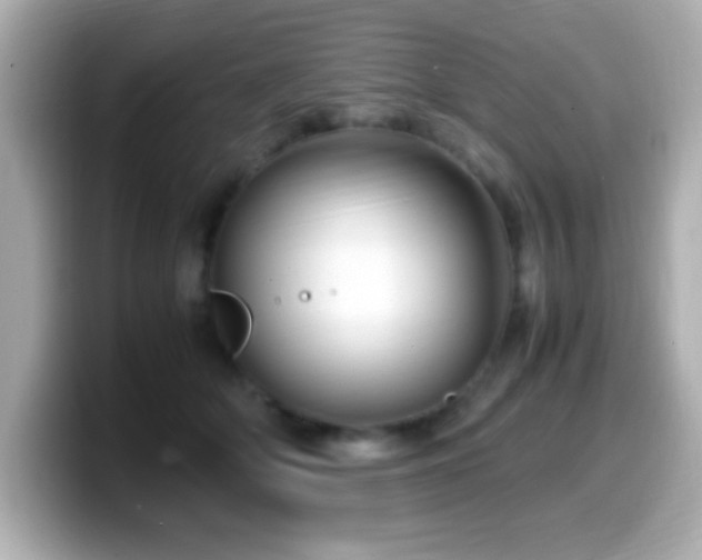 X0000099940514200805231254
