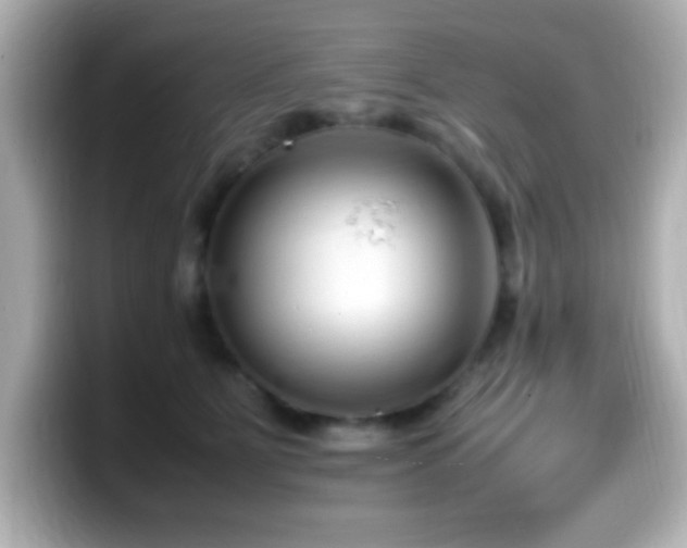 X0000099940515200805231254