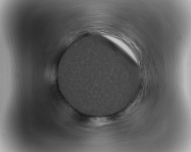 X0000099940517200805231254