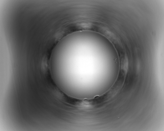 X0000099940518200805231254