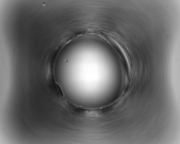 X0000099940520200805231254