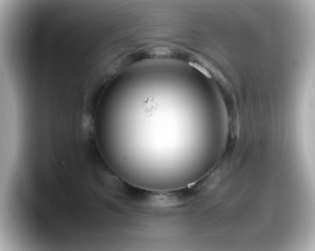 X0000099940521200805231254