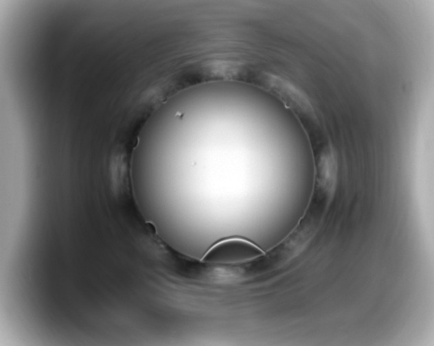 X0000099940522200805231254
