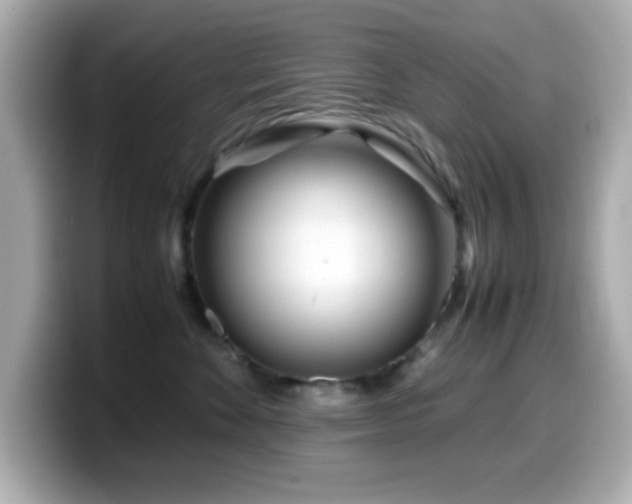 X0000099940524200805231254