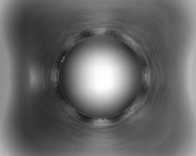 X0000099940525200805231254