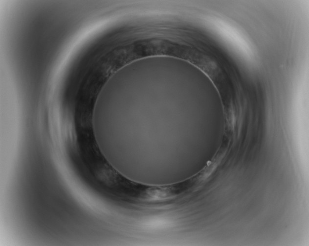 X0000099940526200805231254