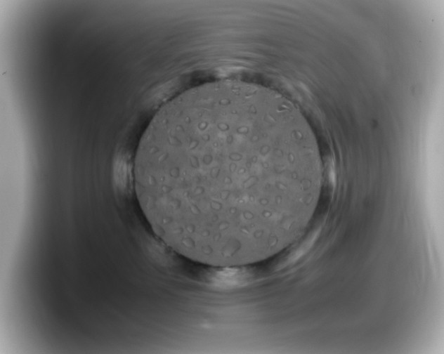 X0000099940527200805231254