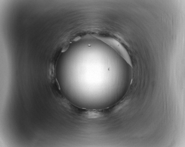 X0000099940528200805231254