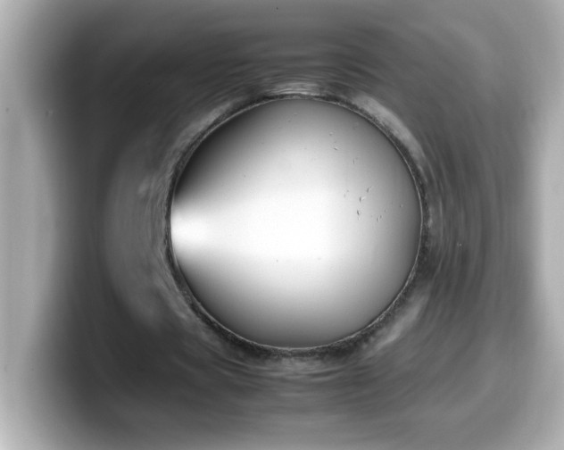 X0000099940529200805231253