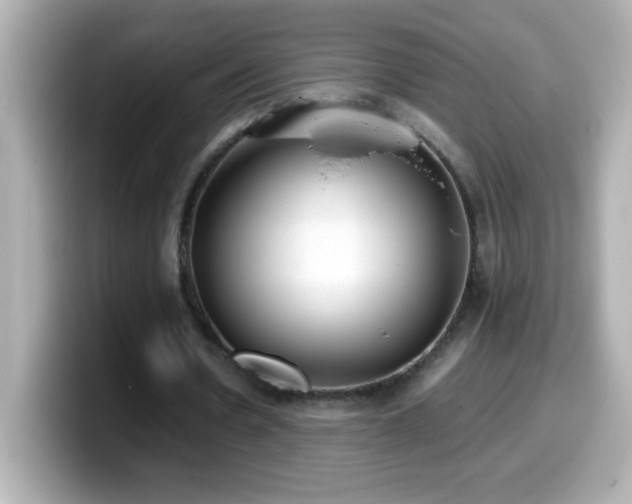 X0000099940530200805231253