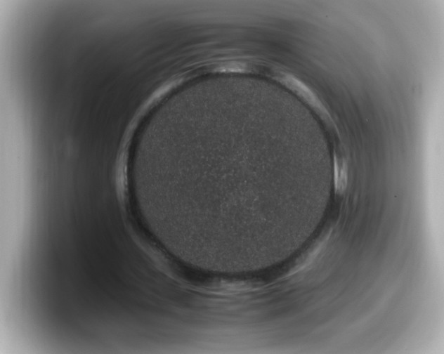 X0000099940531200805231253
