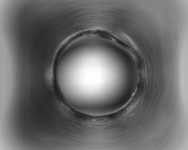 X0000099940532200805231253