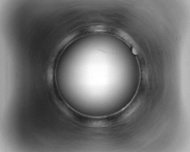 X0000099940533200805231253