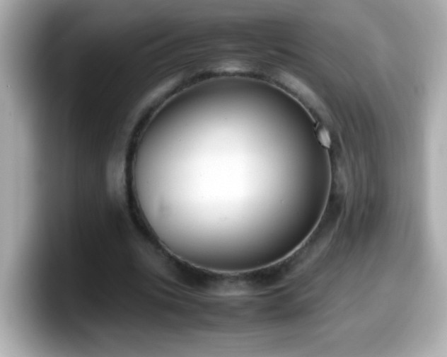 X0000099940535200805231253