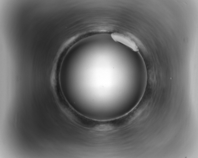 X0000099940536200805231253